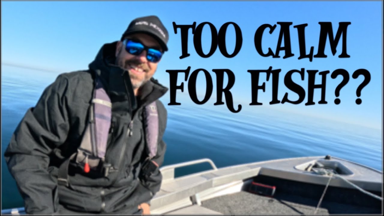 Ловля кальмаров и мерлангов у берегов Норт-Хейвена, Южная Австралия