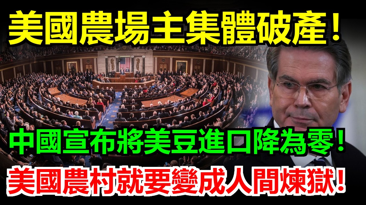 美東農場集體破產！中國宣布美豆進口降為零，美國農業帶陷入毀滅性災難。川普選票基本盤崩潰，農民怒吼要下台！ #關稅#关税#稀土#川普#美國#中國