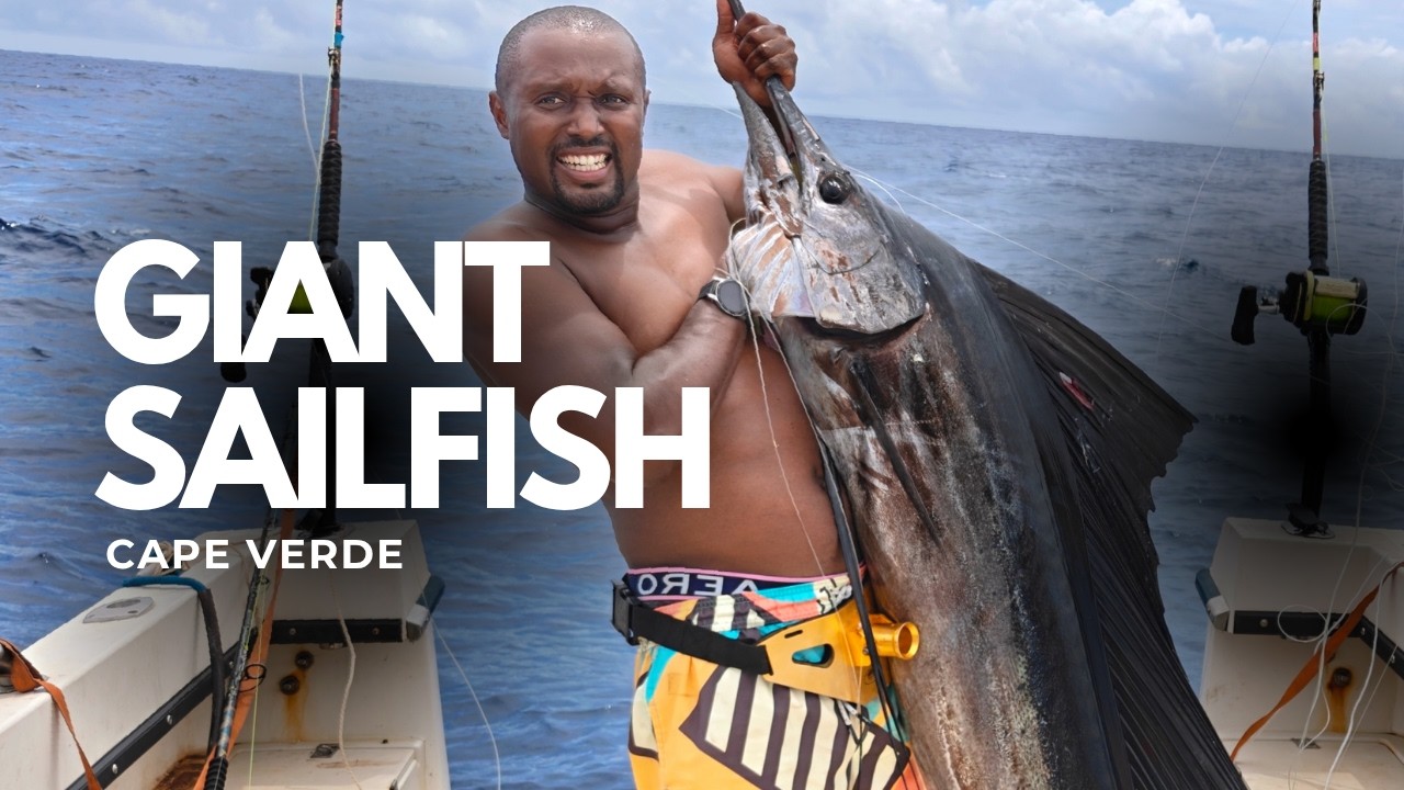 Trolling for Marlin and tuna catch Giant Sailfish - Cape Verde