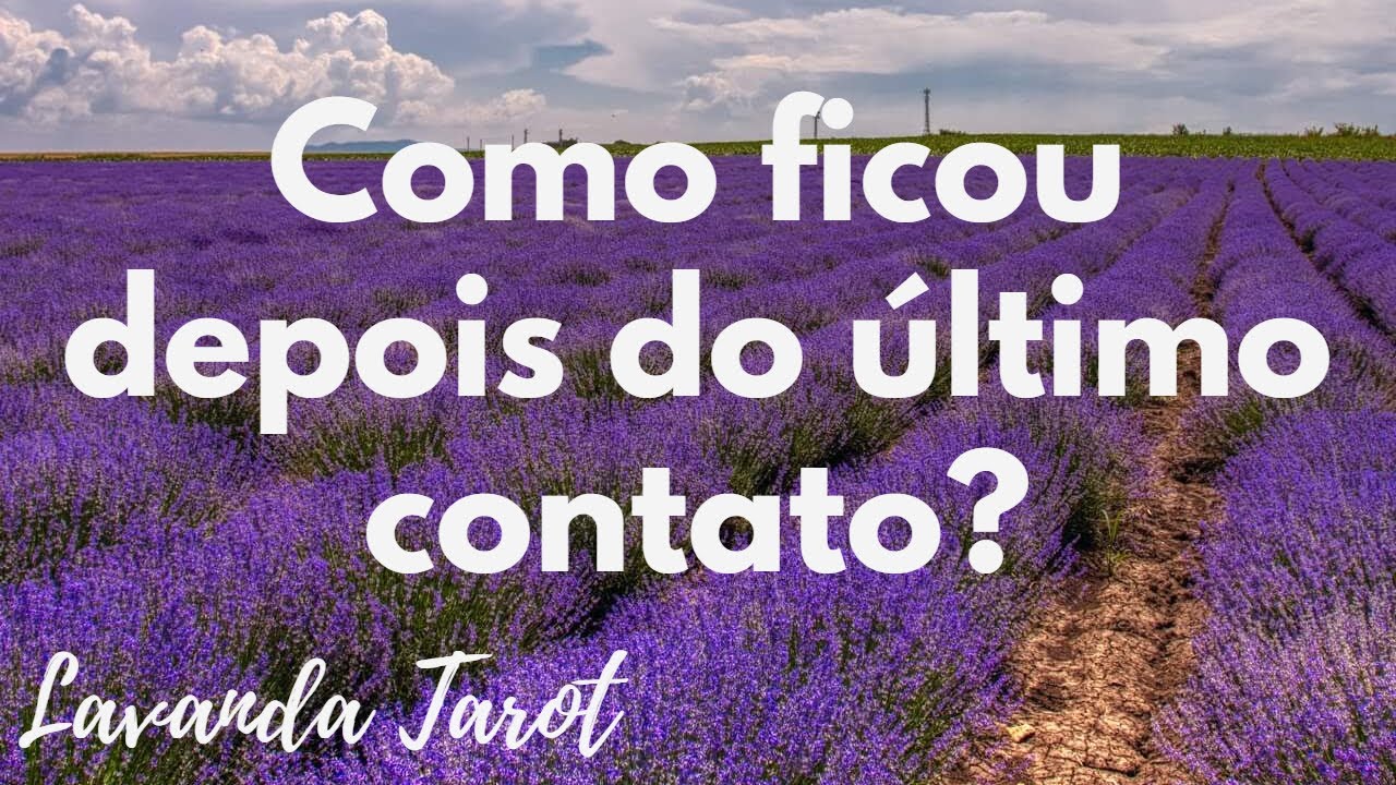 #tarot Como ficou depois do último contato?