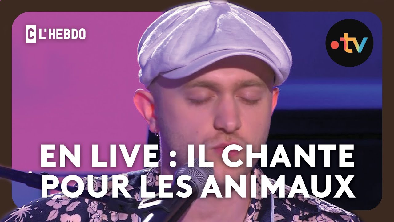 “Plumes” en live chante pour les chiots du Domaine de Léogane