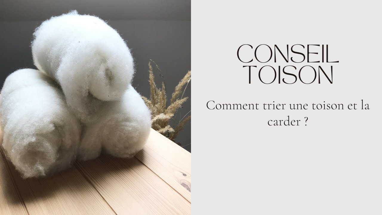Comment trier une toison et la carder ?
