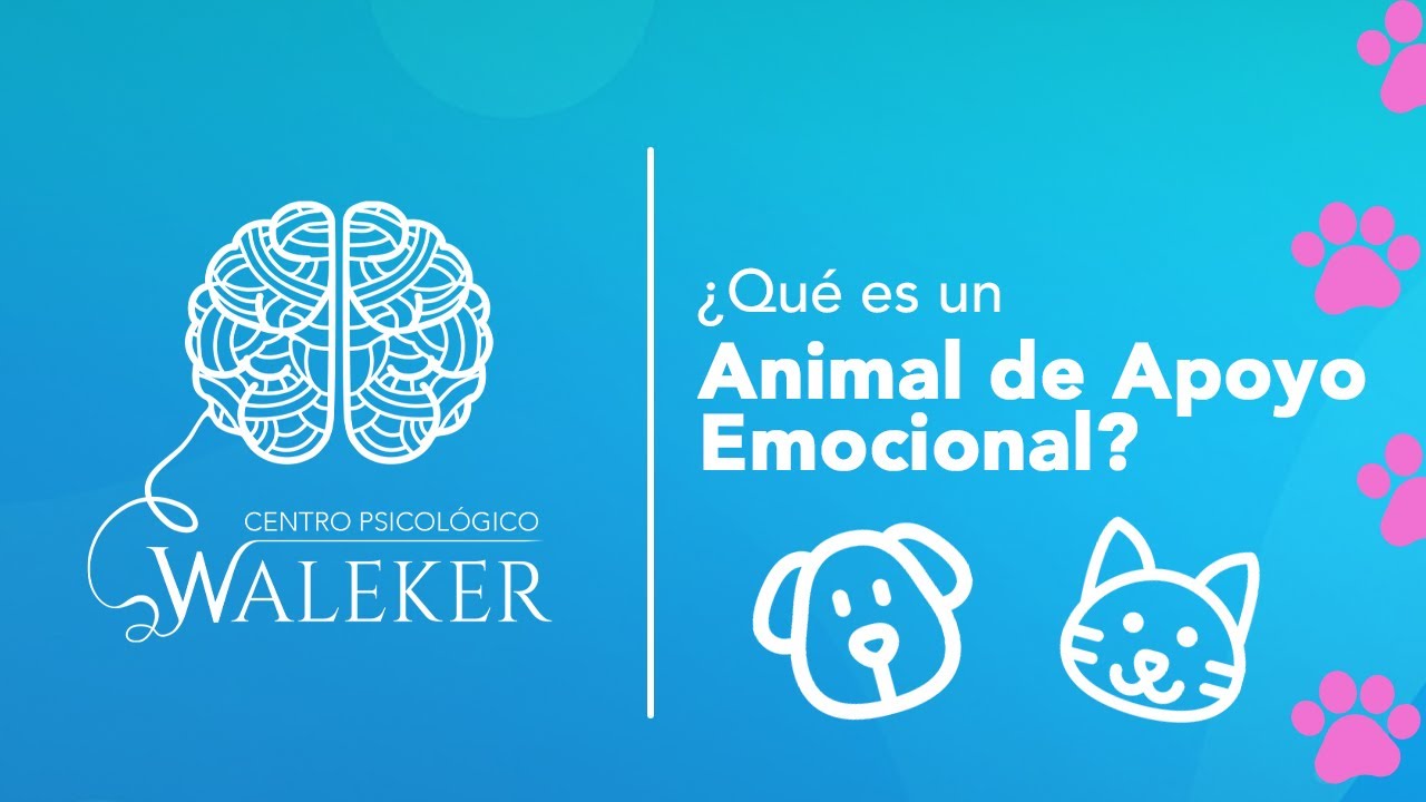 &iquest;Qu&eacute; es un Animal de Apoyo Emocional?