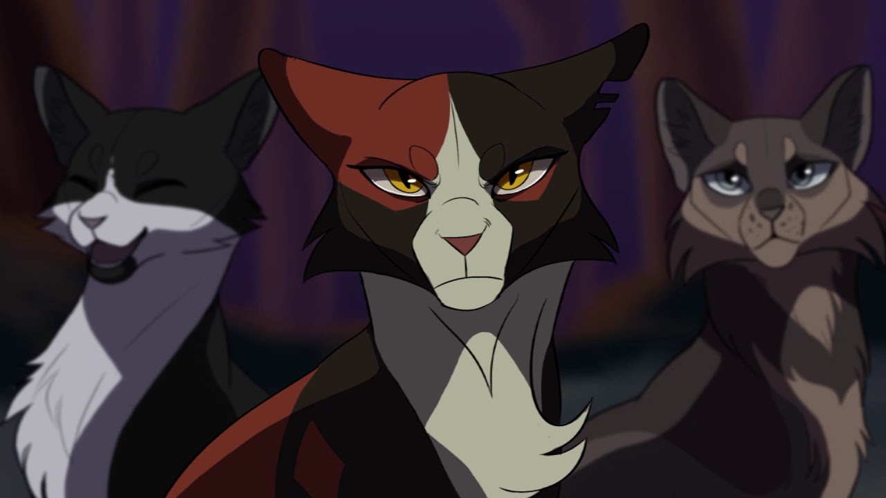 10 Katzen mit traurigem Leben || Warrior Cats Videos