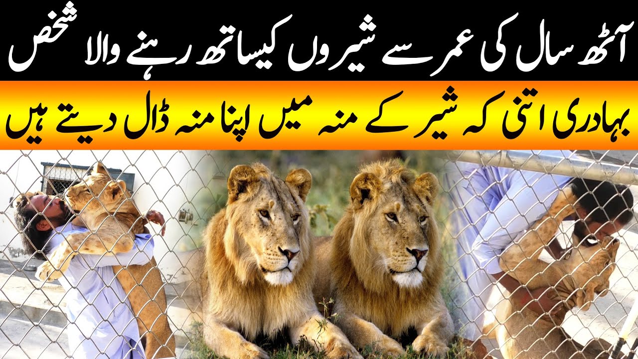8 Saal Se Shero Ke Sath Rehny Wala Asif Shero Wala | Yasir Janjua | Cyber Tv