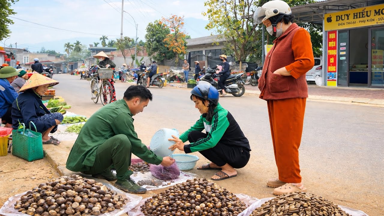 Veteran Crosses Mountain to Catch Snails and Sell Them for Seeds
