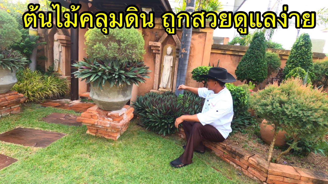 ต้นไม้คลุมดิน คลุมโคนต้นไม้