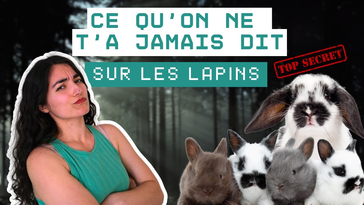 Ces choses qu'on ne te dit pas sur les lapins 🤫 Pourtant elles sont essentielles ! 😱