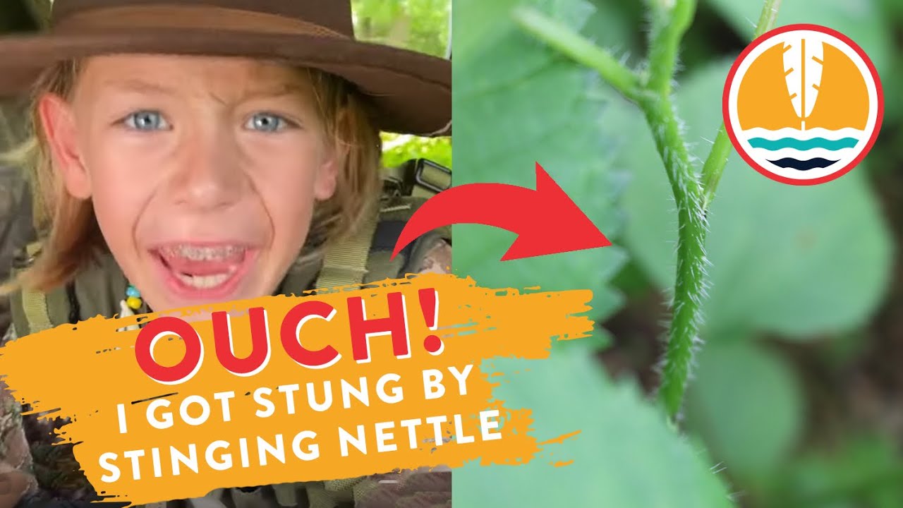 Adventures of Riverhood: Stung by Stinging Nettle! | Outdoor Adventure for Kids!