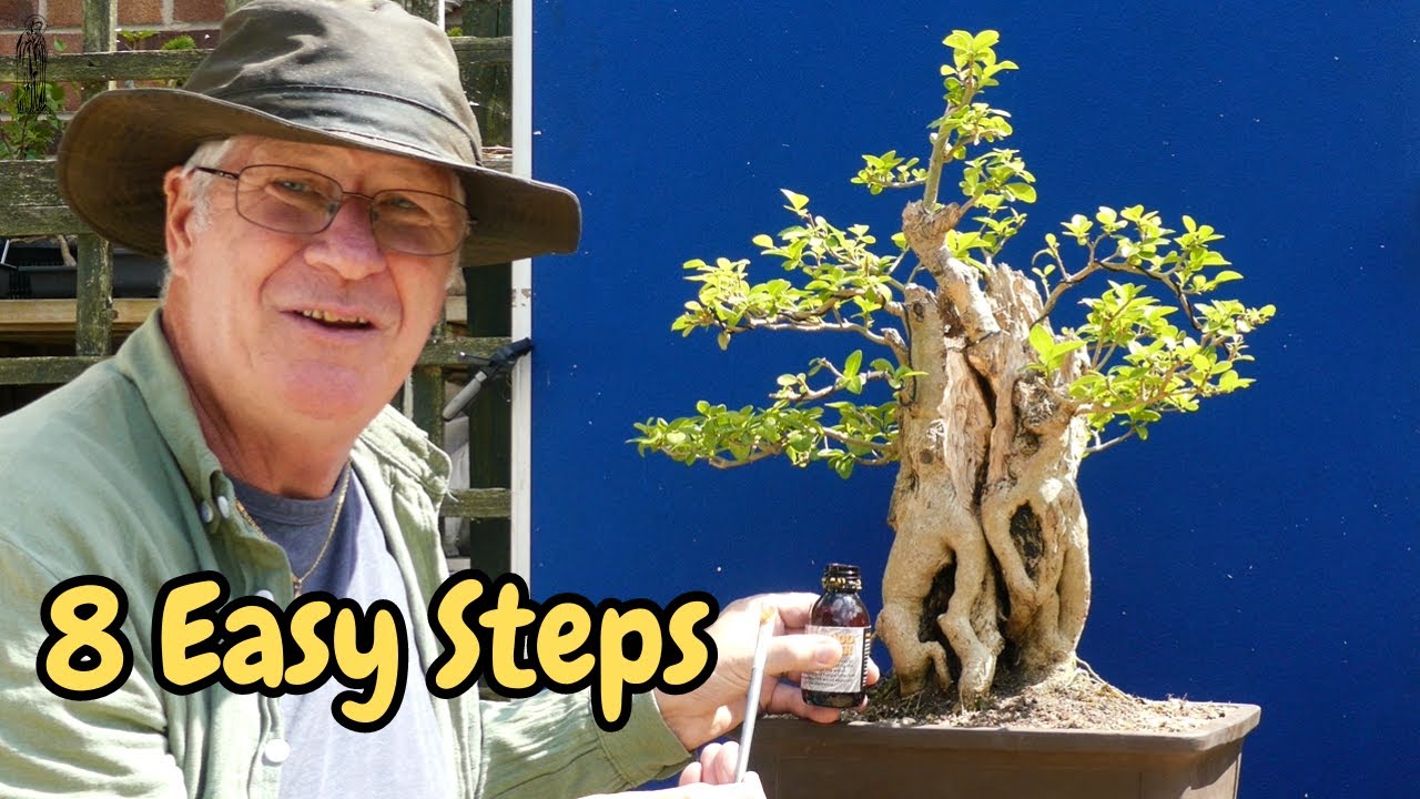 8 EASY steps to creating an EYE Catching Bonsai Stump (Privet)