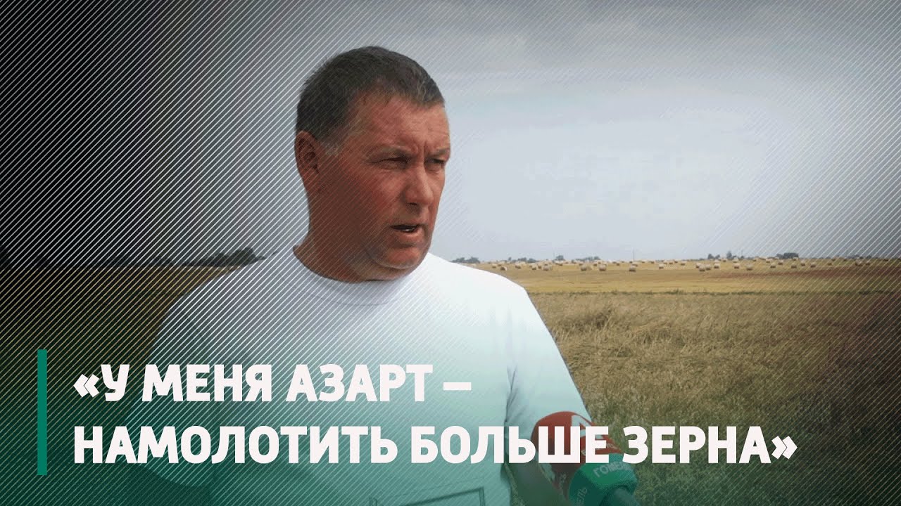 Комбайнеров и водителей-двухтысячников чествовали в Добрушском районе