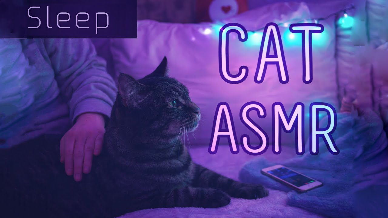 “Handle me with reverence, human!” —Tabby 😾 ꒰Cat ASMR꒱