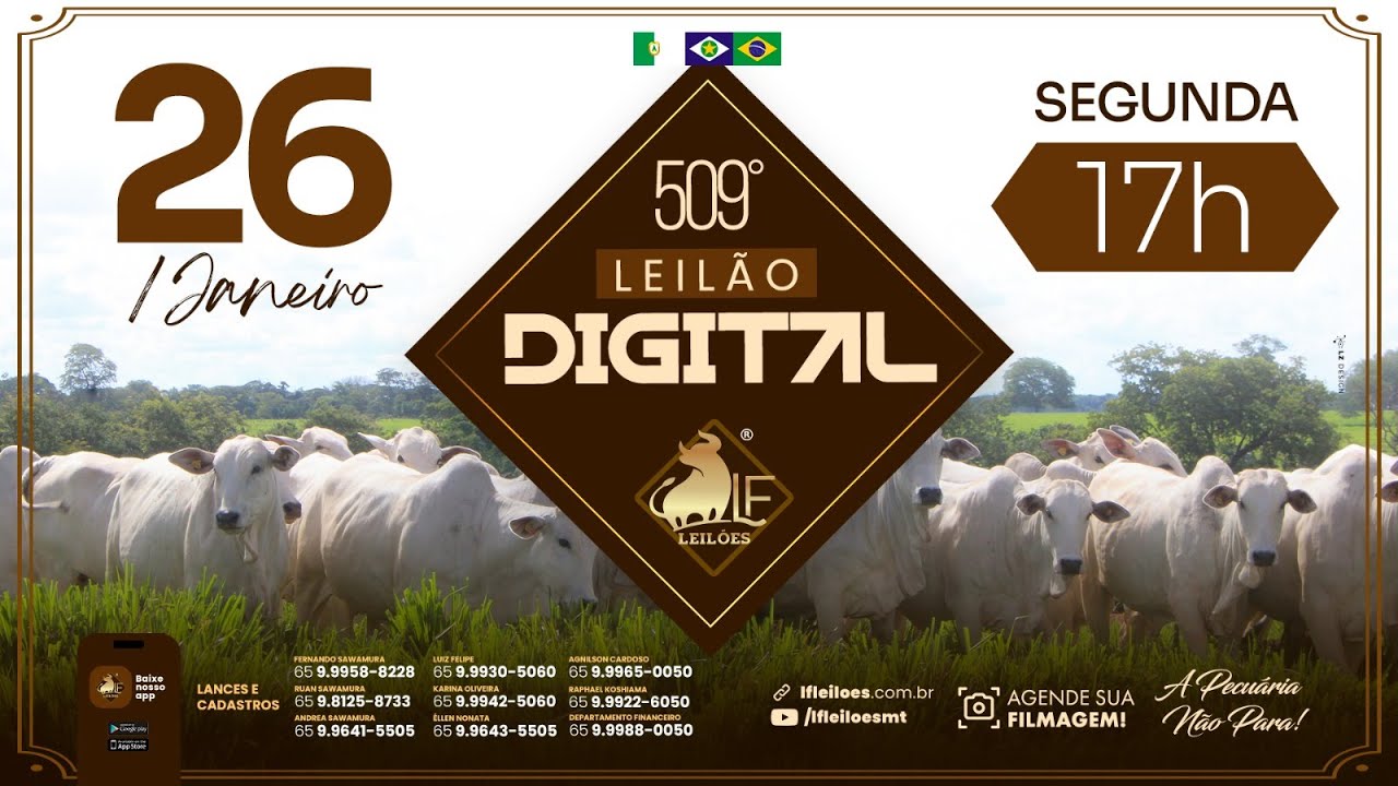 509º  Leilão Digital da LF Leilões 26 01 2026 17:00 horas.