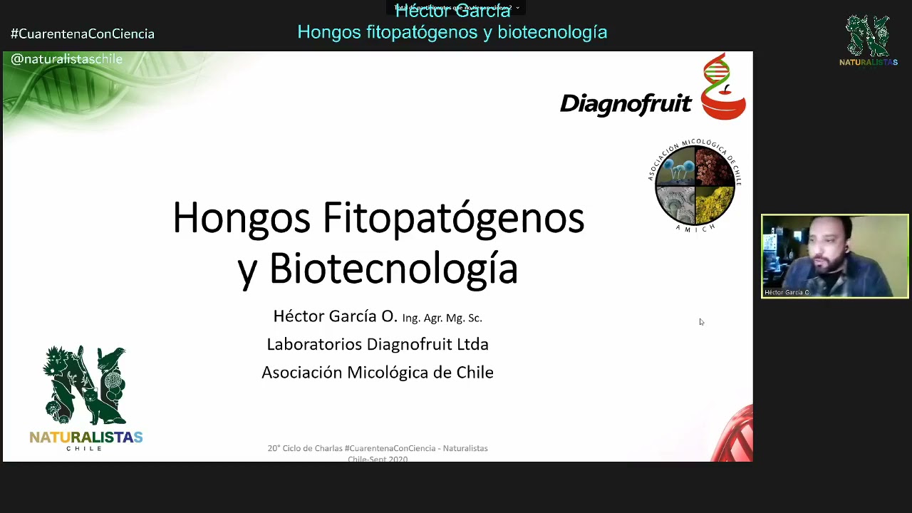 Héctor García - Hongos fitopatógenos y biotecnología