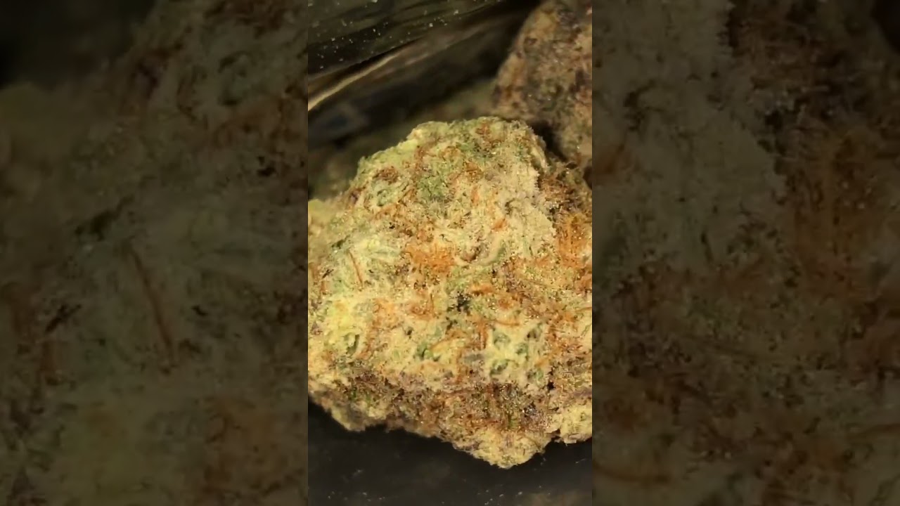 Black Cherry Pie 🥧 (CRAFT CANNABIS)