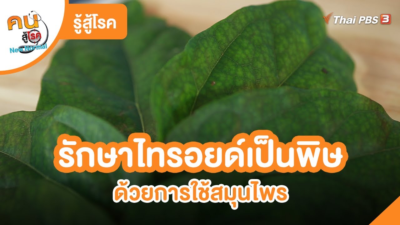 รักษาอาการไทรอยด์เป็นพิษด้วยการใช้สมุนไพร | รู้สู้โรค  | คนสู้โรค