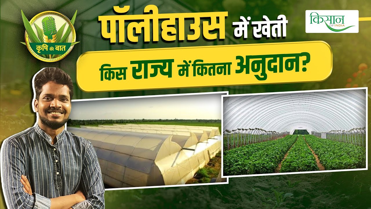 Polyhouse में खेती के लिए मिल रही है Subsidy, ऐसे लें योजना का लाभ | Greenhouse | KrishiKiBaat