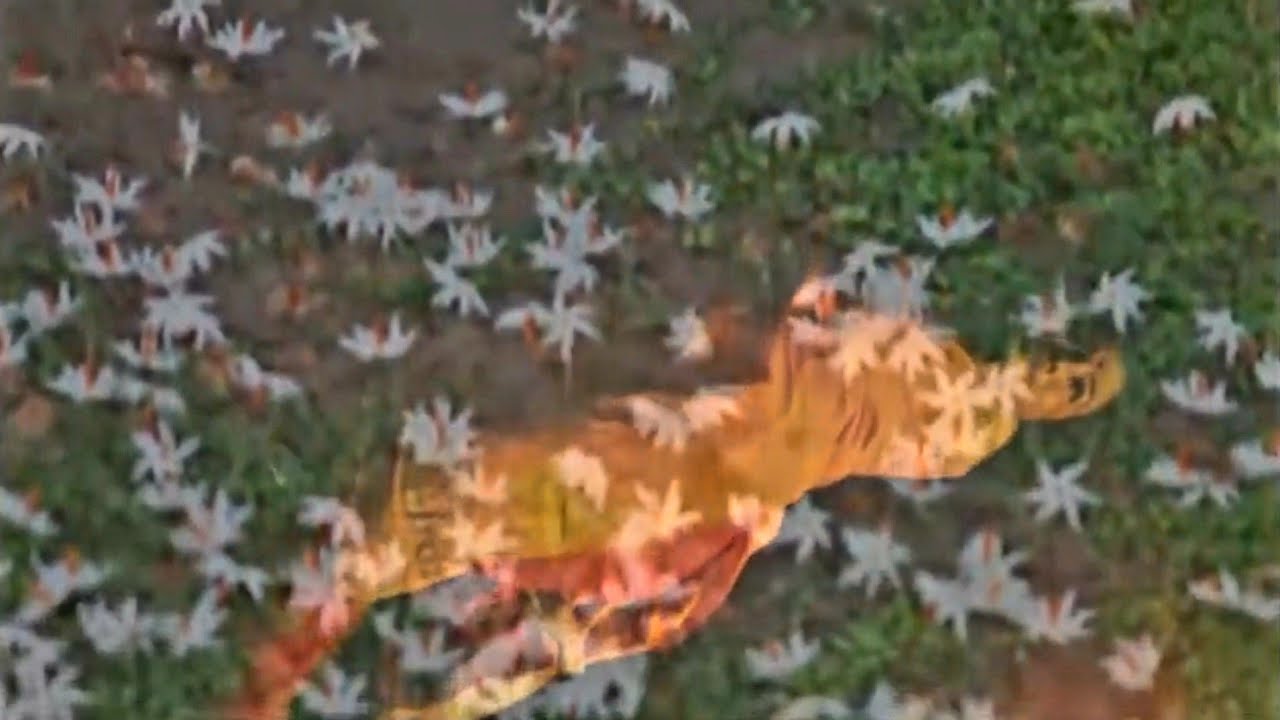 Dreaming River (a short film, 10 min.) by Gautam Chatterjee