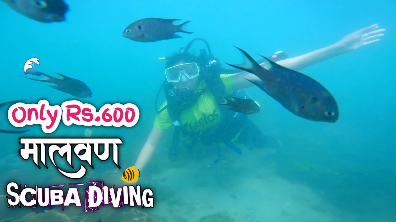 Part 3 | Scuba Diving in Malvan🤿⚓🐟 | फक्त 600 रुपयात 😍