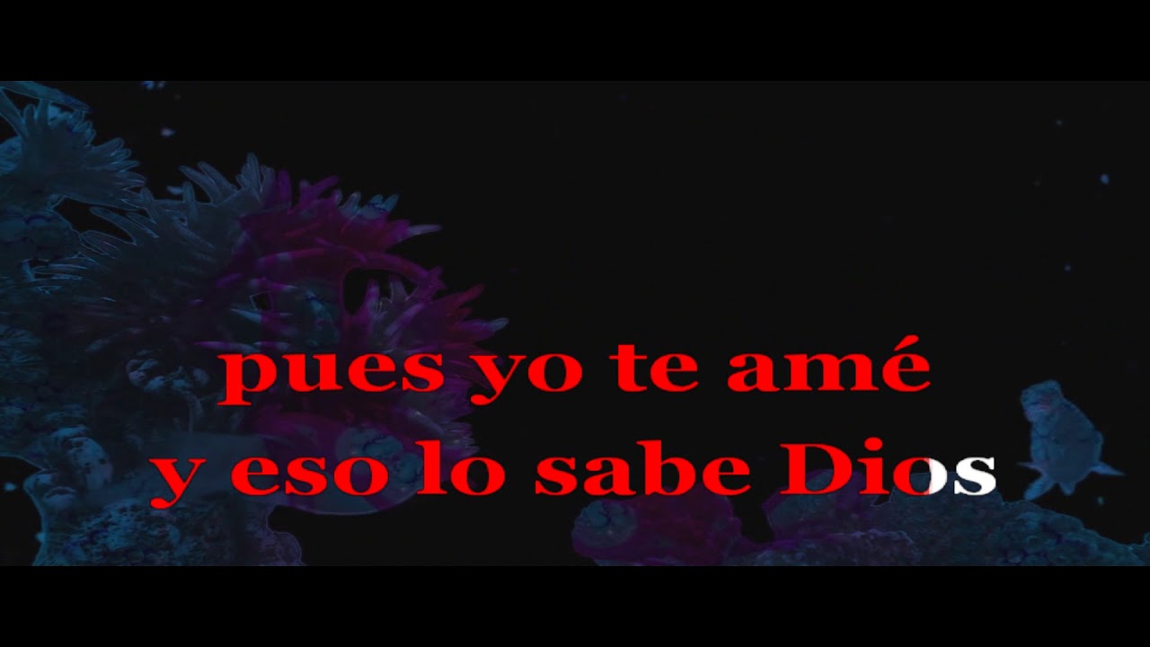 Murió el amor - Paola Jara (Karaoke)