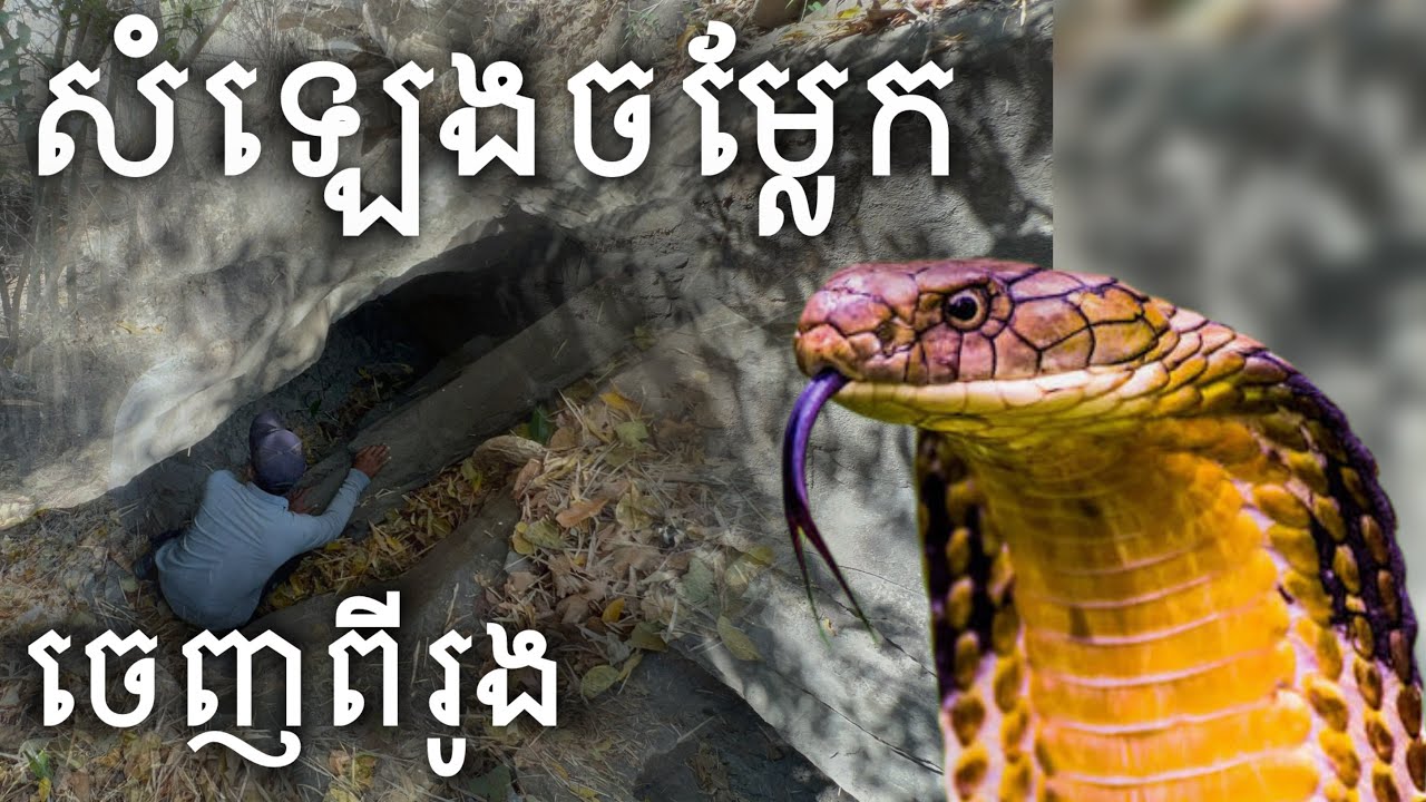 ល្អាងសម្ងាត់លាក់ខ្លួនសម័យខ្មែរក្រហម | 