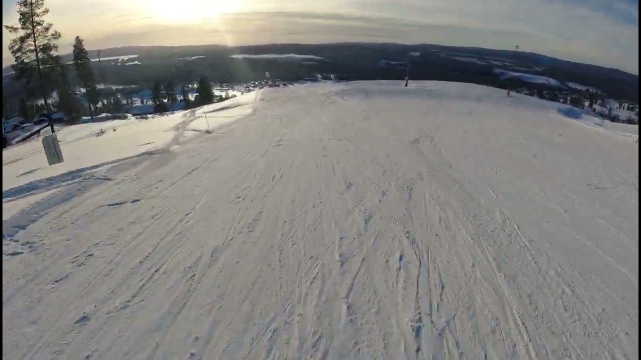Alpin furutangen 2022