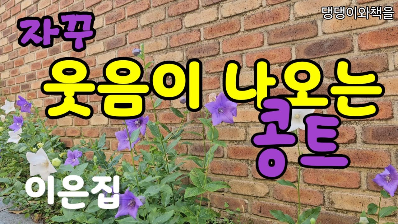이은집콩트/들으면 자꾸 웃음이 나오는 이야기/책읽어주는작가