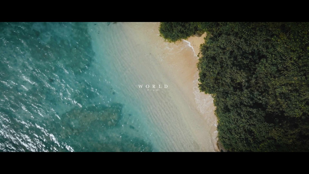 WORLD FILM 2025 portfolio【SAME DAY EDIT】愛知・名古屋