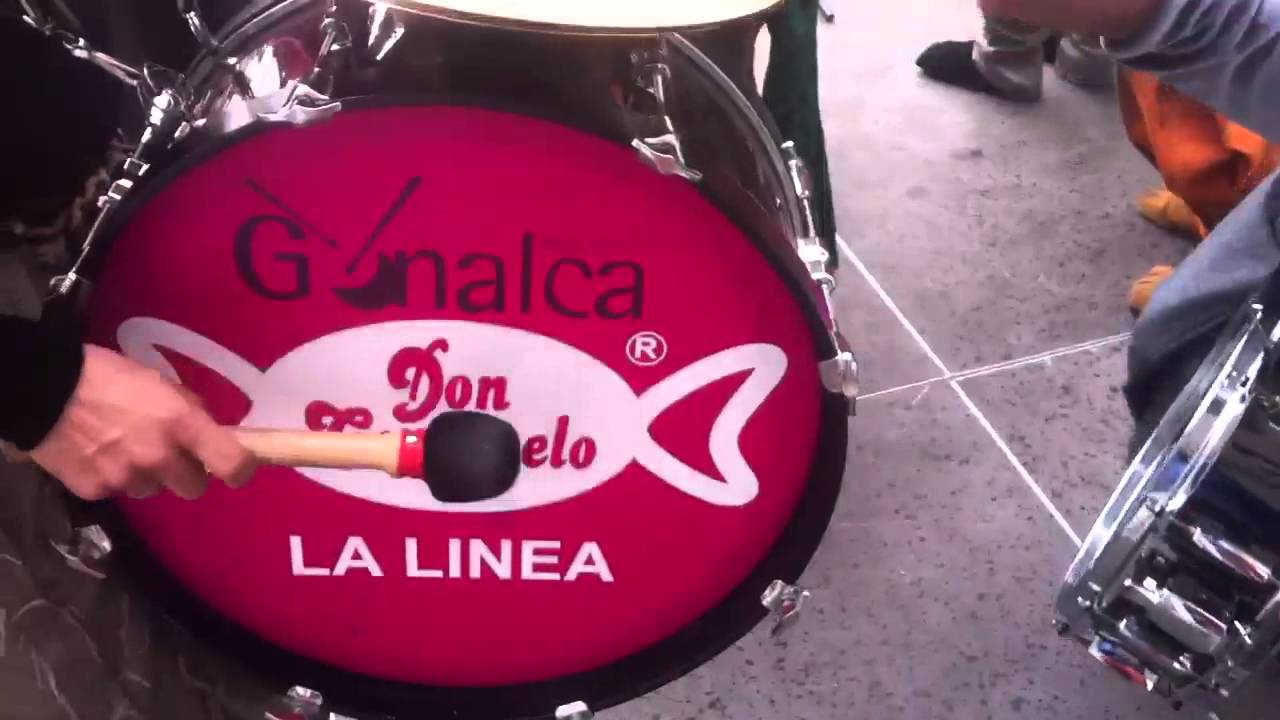 Los gatos callejeros