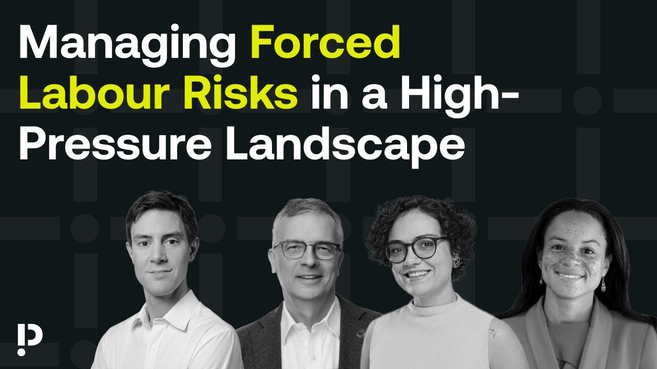 Managing Forced Labour Risks in a High-Pressure Landscape