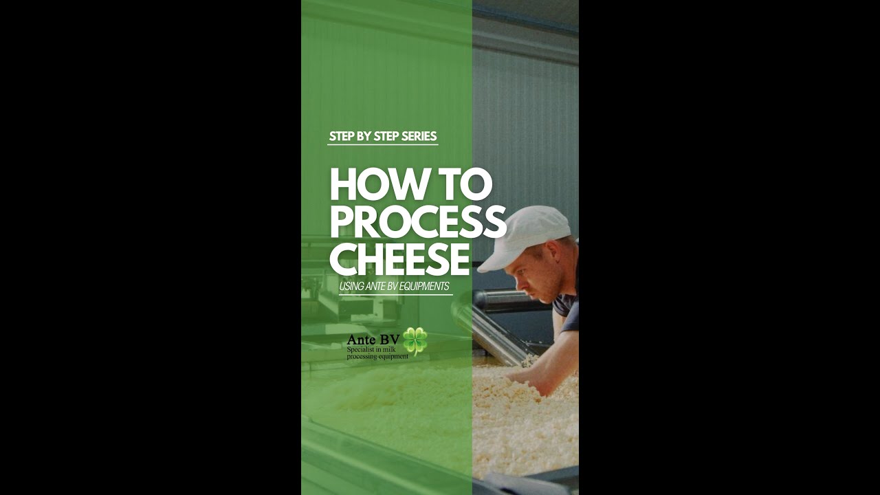 THE PROCESS OF MAKING CHEESE