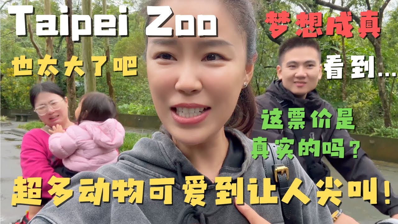 暴走全亚洲最大动物园 台北木栅动物园 看到动物们都皮毛光泽身材圆润真的很治愈！就是这票价真的合理吗？