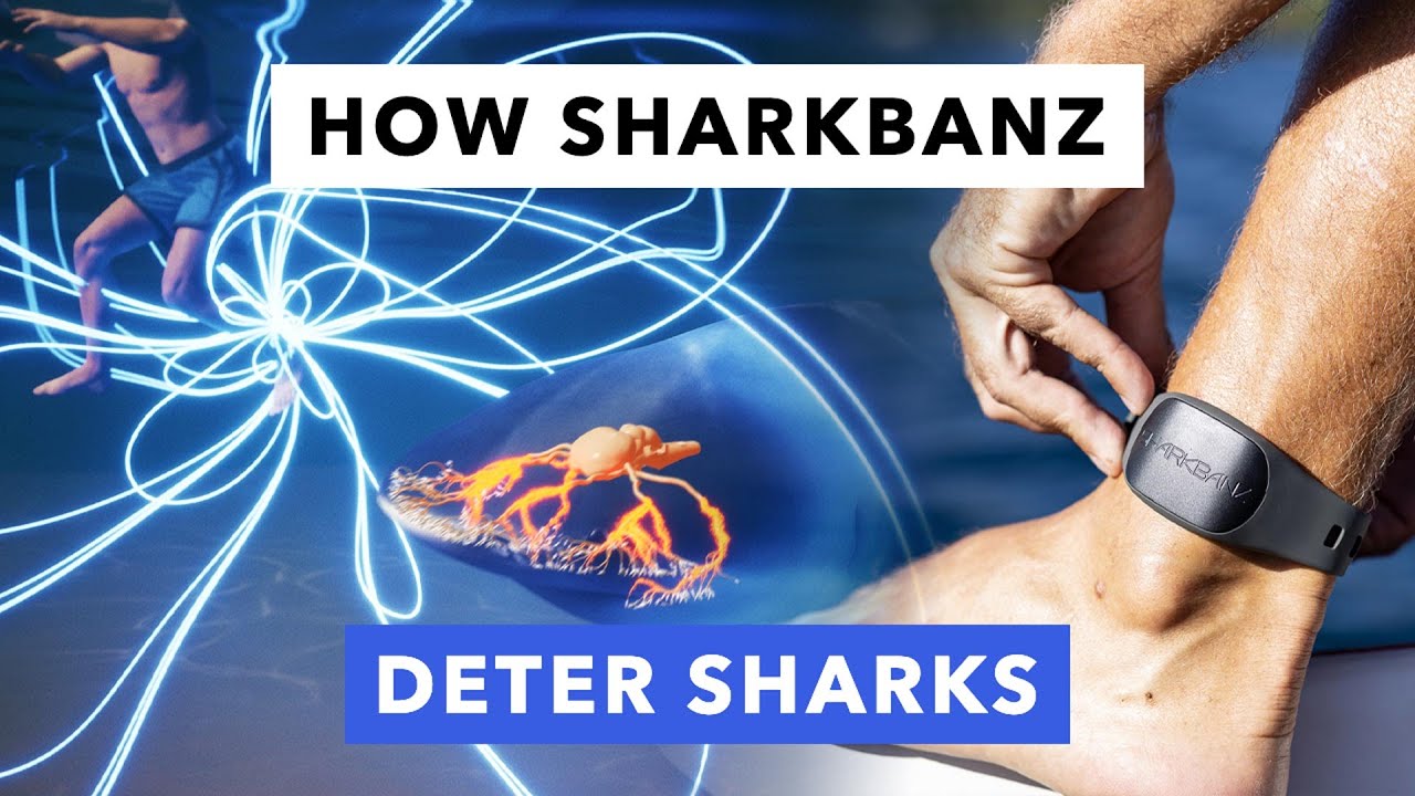 Sharkbanz - How It Works: The Science and Technology Explained by Forrest Galante
