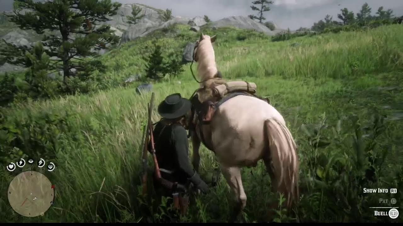 RDR2 - Revisit - In Prep for RDR