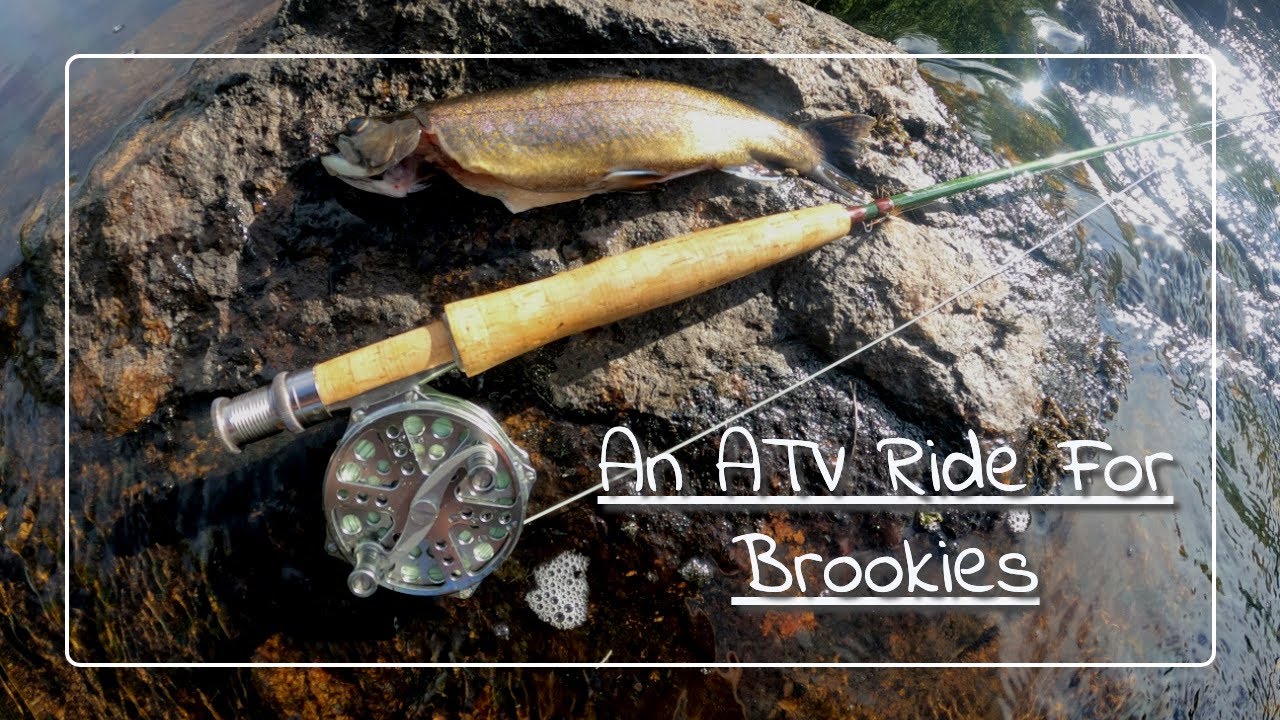 WILD BROOK TROUT on the FLY.  BACK COUNTRY Spring fishing ATV trip & tasty CATCH & COOK!!!