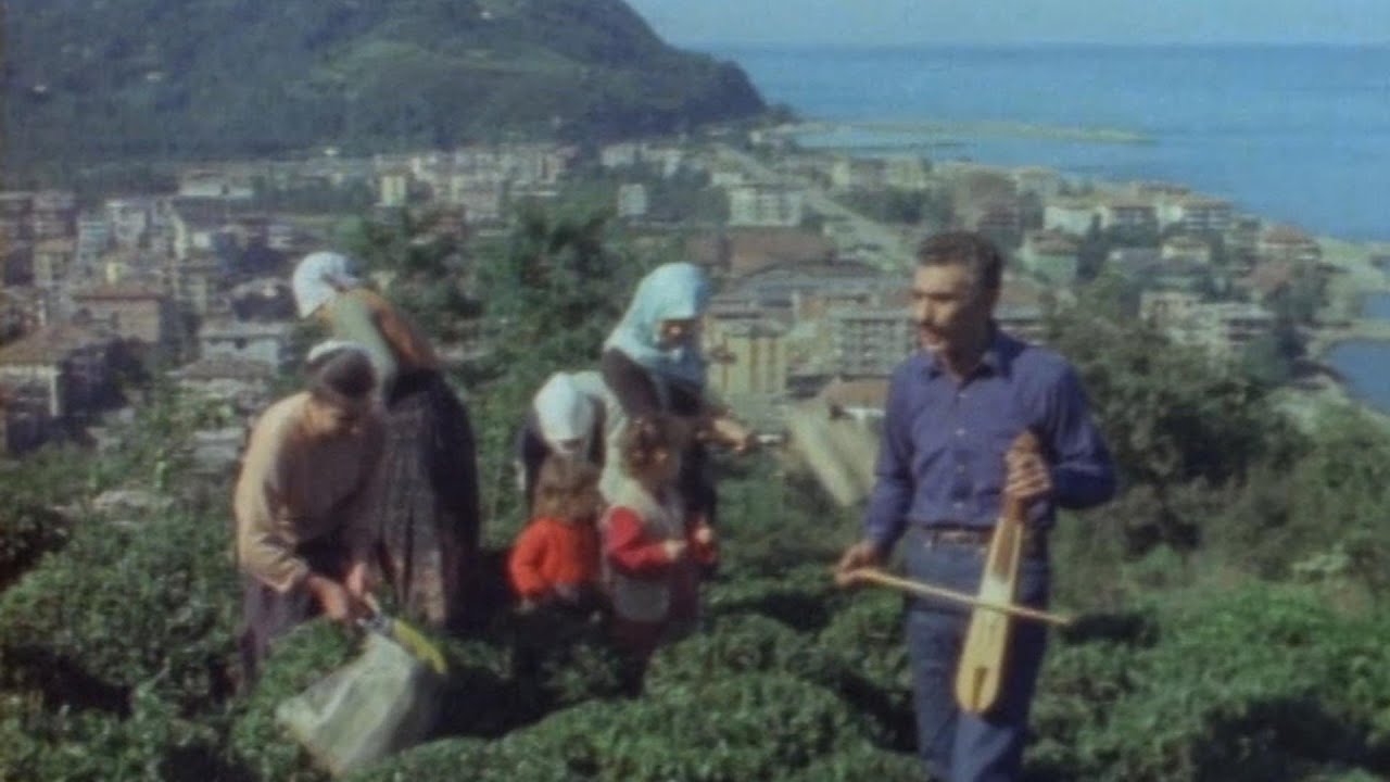 İl İl Türkiye-Artvin