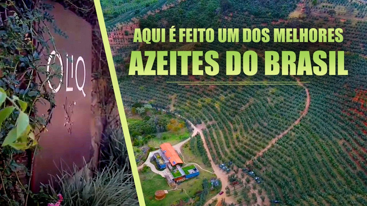 UM DOS MELHORES AZEITES DO BRASIL | Experimenta Mantiqueira