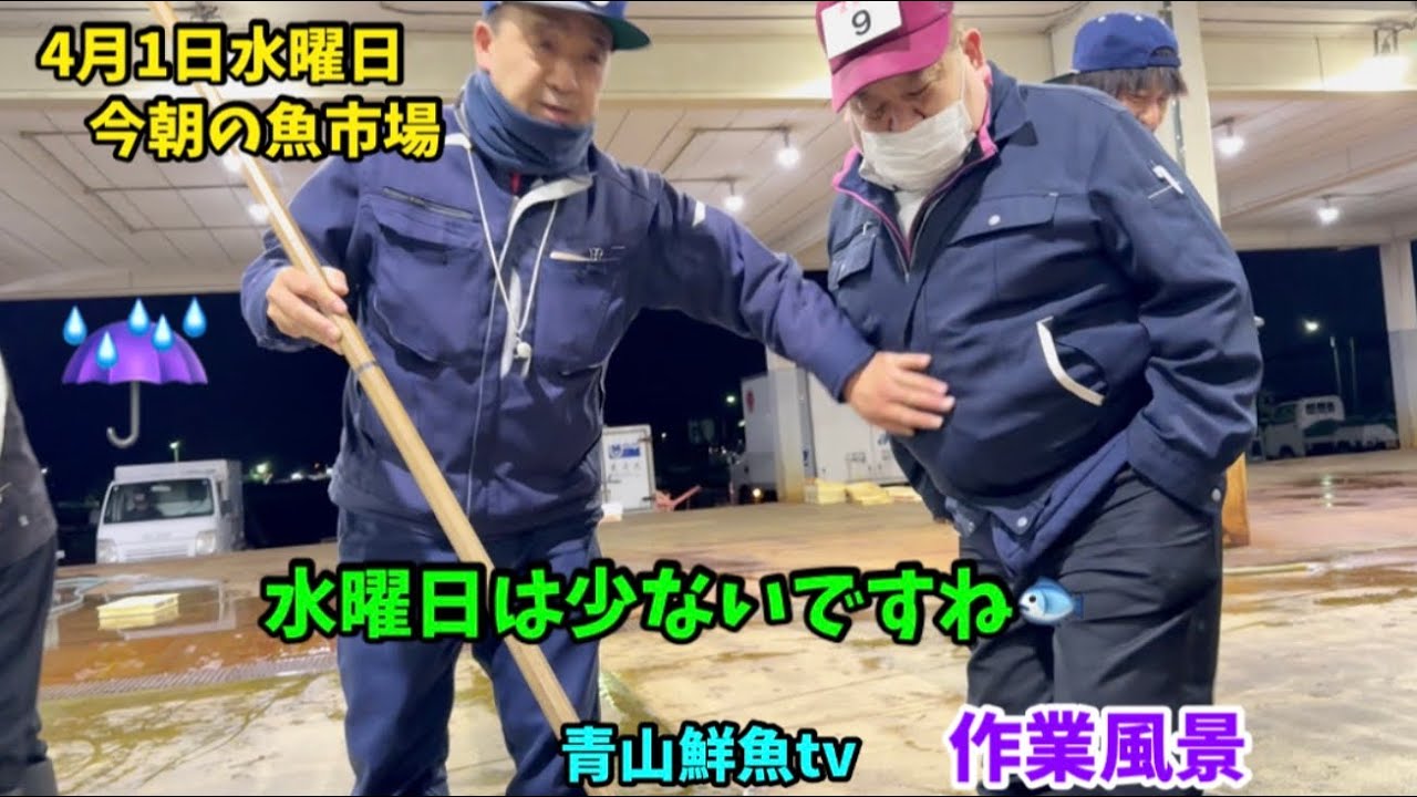 【少ない☔️】今朝の魚市場4月1日水曜日の水揚げ状況