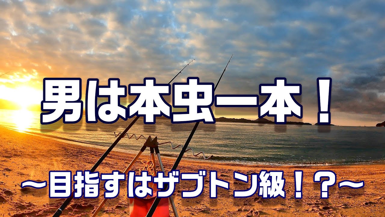 愛媛県で渡船を使ってカレイを狙う！！　【魚神の釣りいかれへんわ】