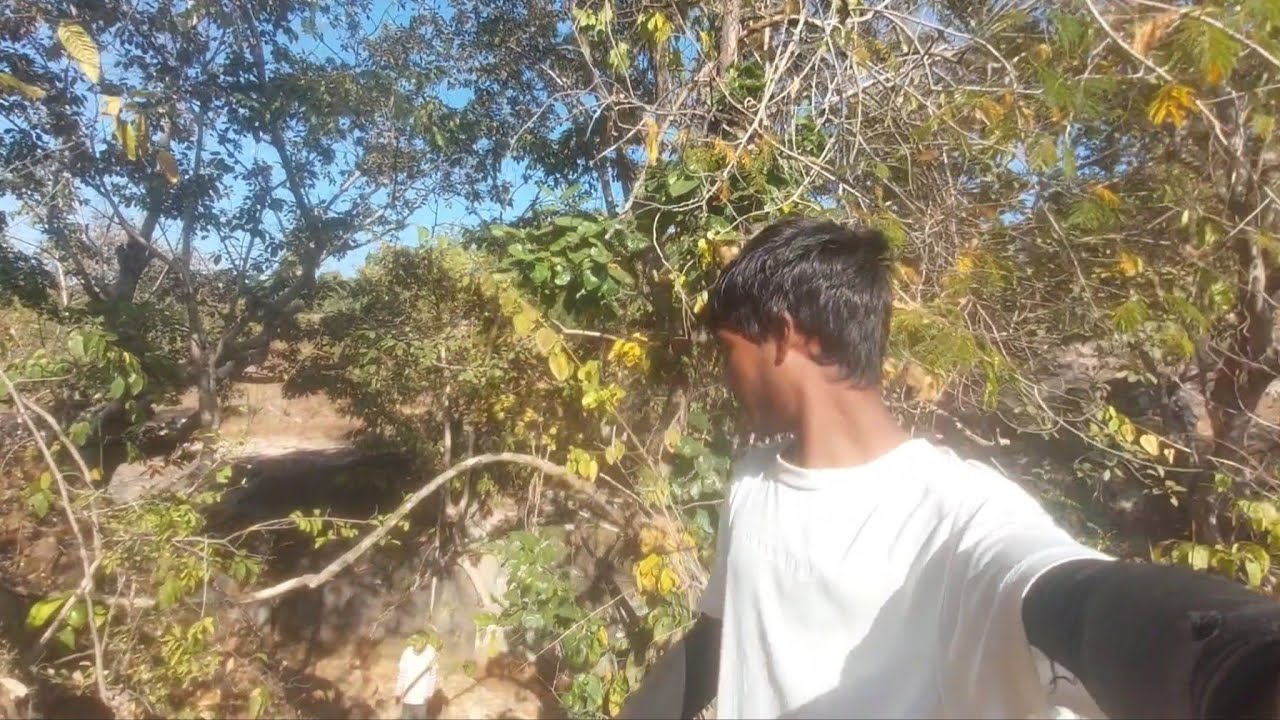 Jungle me ye kon