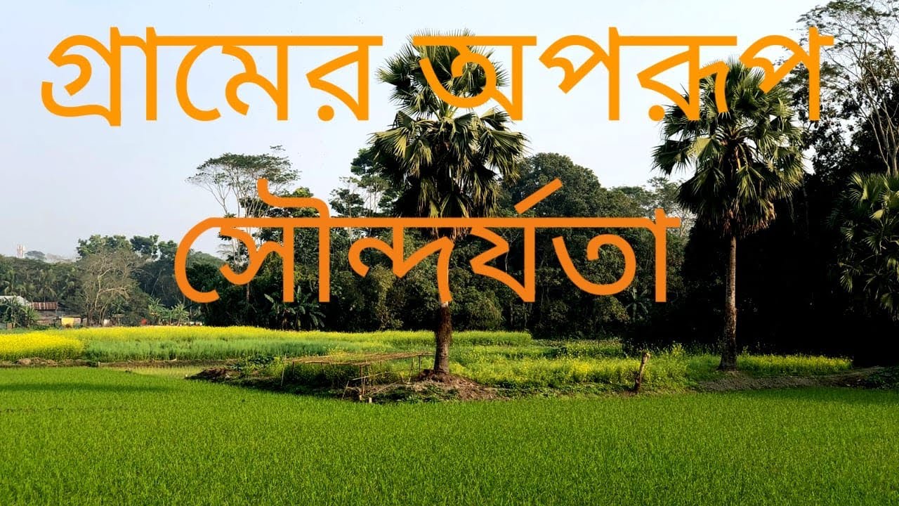 গ্রামের অপরূপ  সৌন্দর্যতা।village Natural View.#travel #traveling ,#shorts 