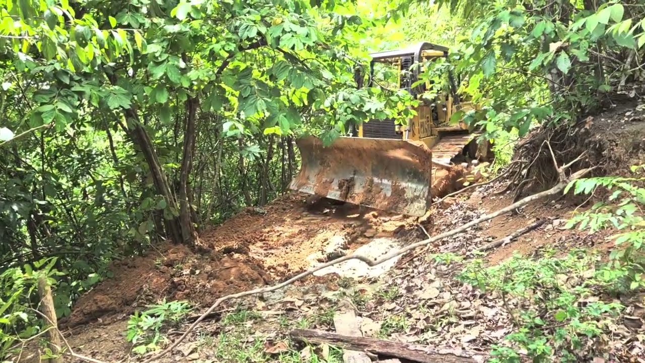 EPIC! CAT D6R XL Bulldozer: Rainforest Road Built in MINUTES! Insane Power