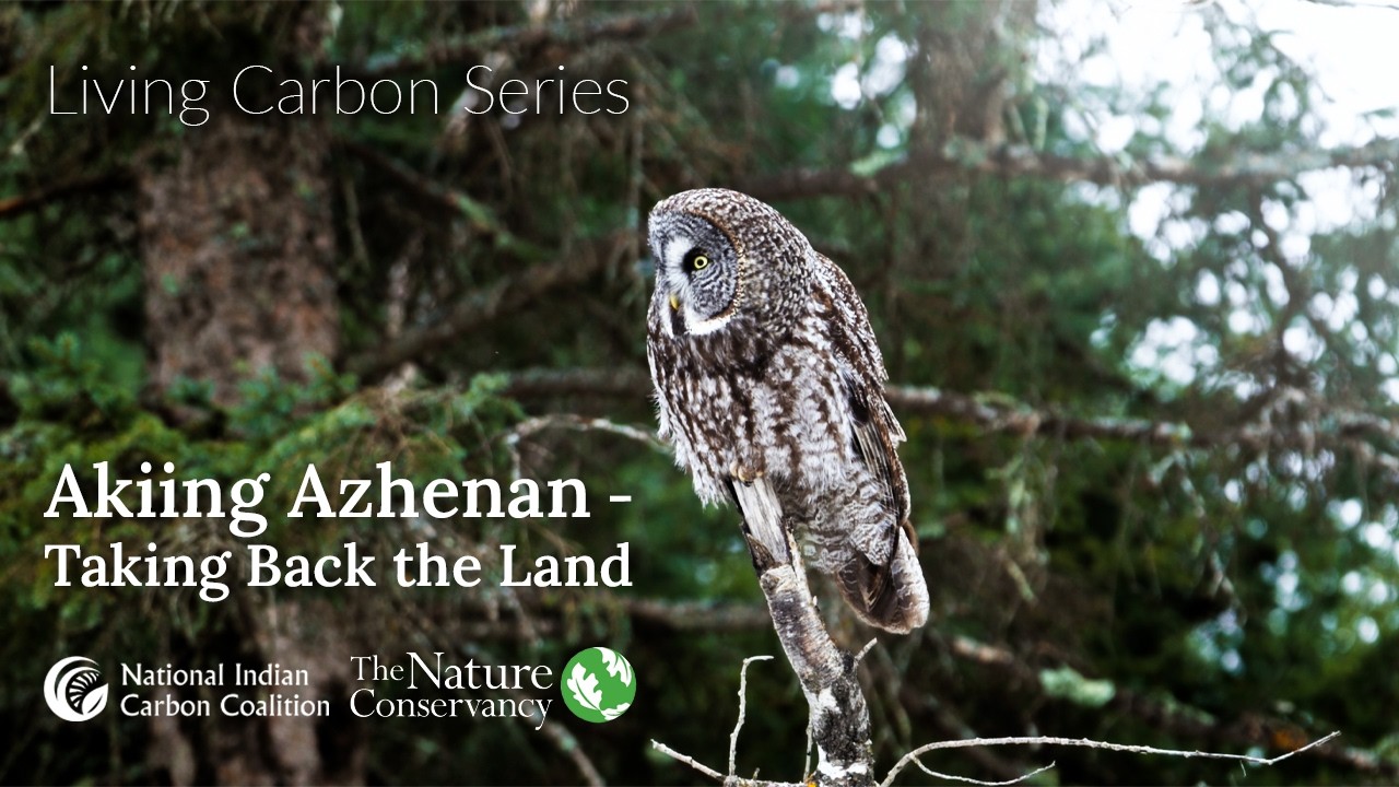 The Living Carbon Series - Akiing Azhenan