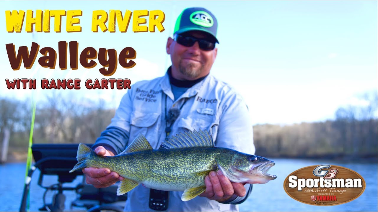 White River Walleye