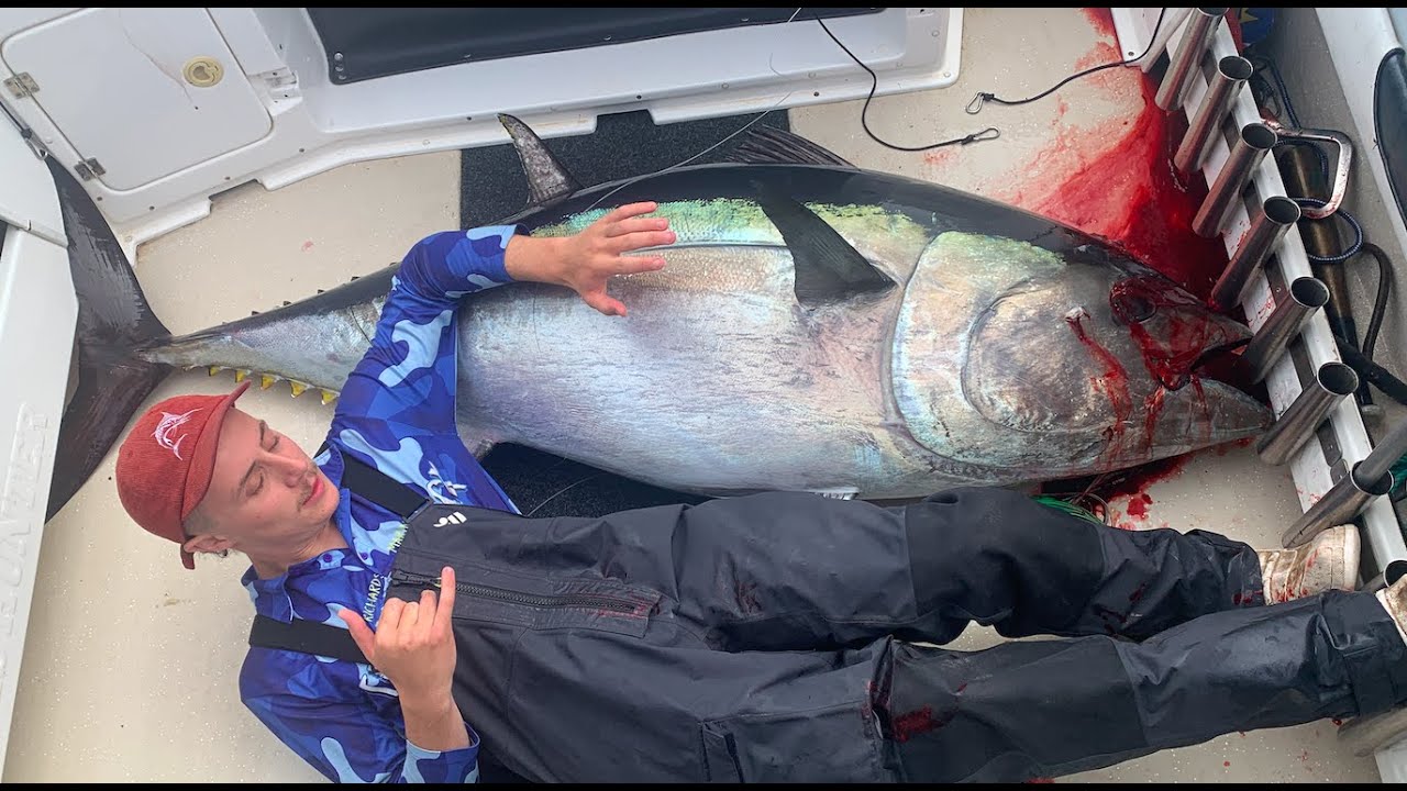 124 Kg Tuna Pulls Rod Out Of Boat At Portland!!