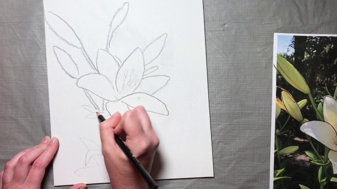 How to Paint a Lily with Acrylics Part 1