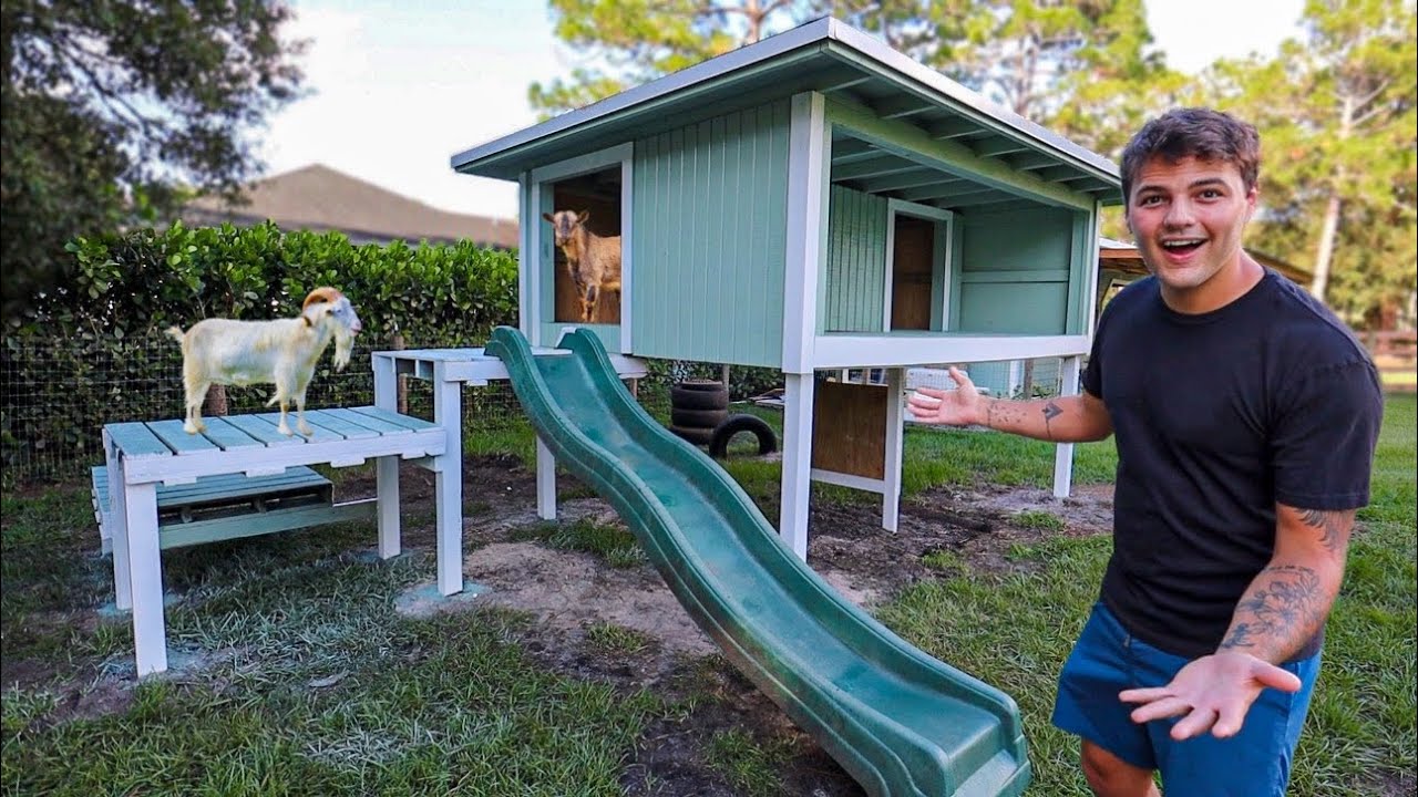 I spent $4,829 on THIS for My ANIMALS!!