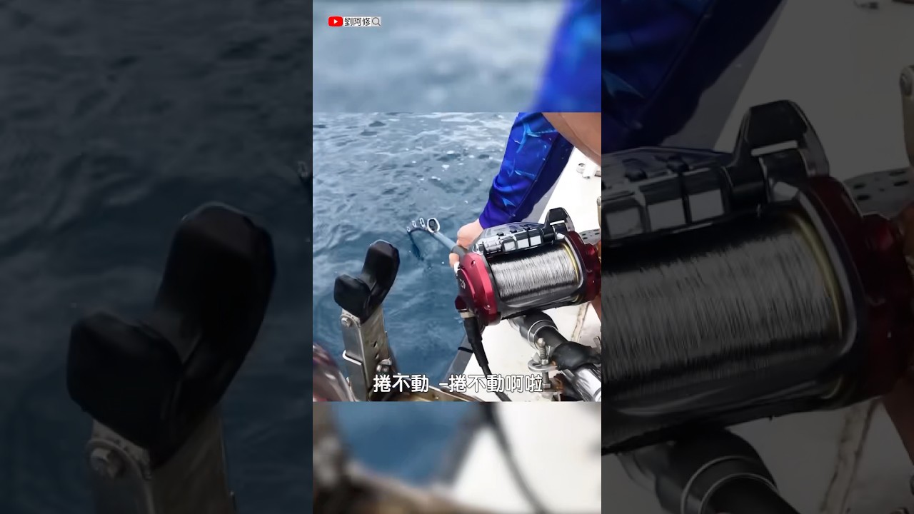 【船釣】到底是多大尾，竟讓電捲都快捲不動了 #微風1號 #深場底棲 #黑嘉鱲 #fishing