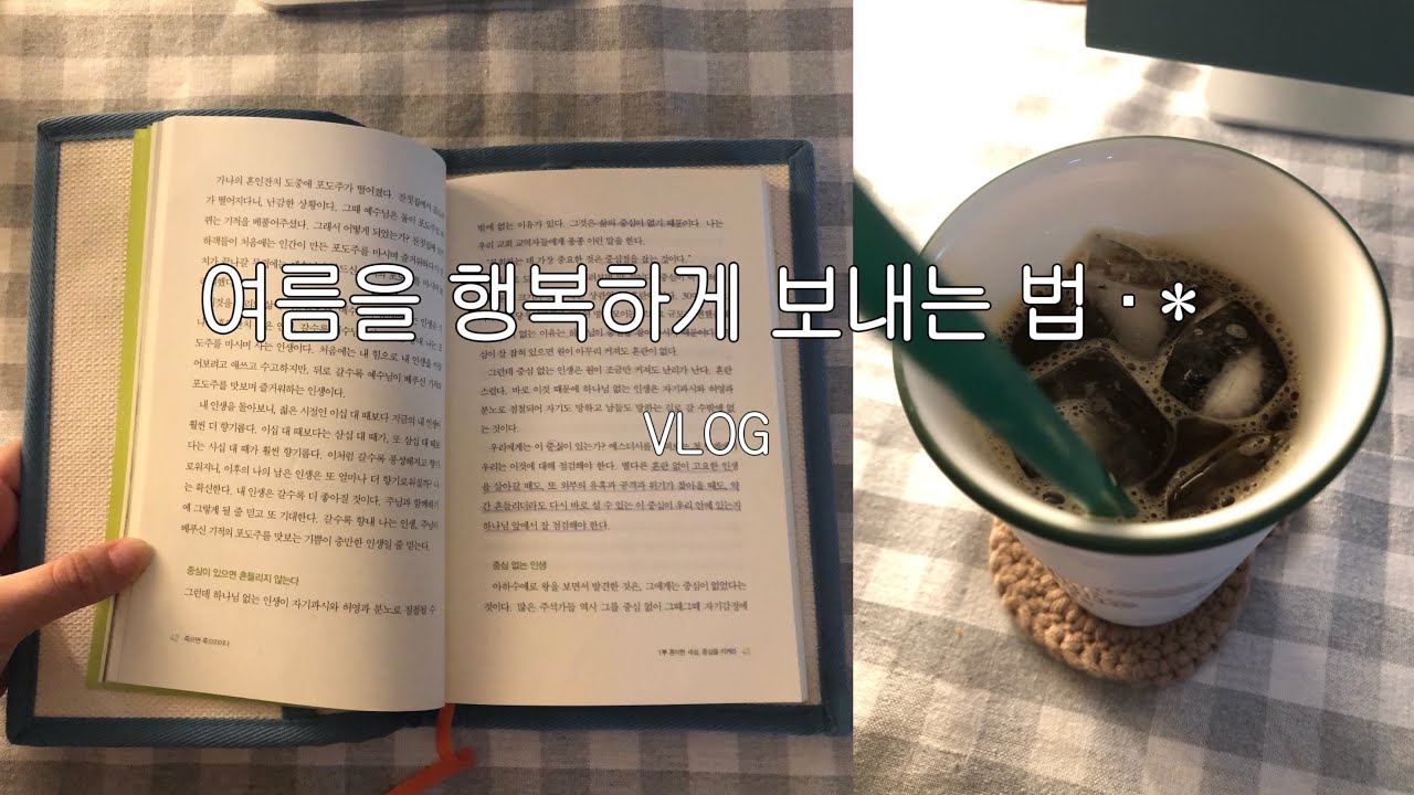 VLOG | 아이폰 se로 찍은 여름 일상 브이로그