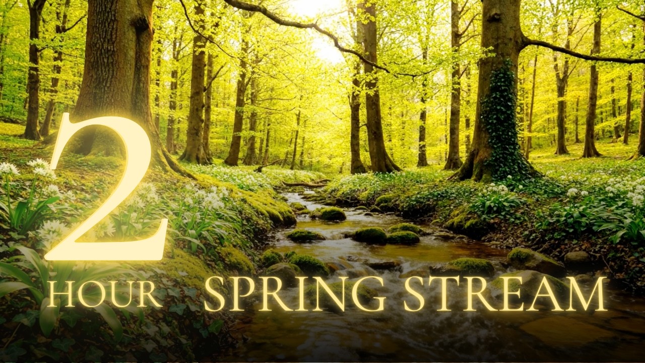Spring Stream — English Forest Stream Sounds for Study & Relaxation | 2 Hours